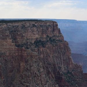 Meet your Posher,billy